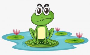 校园故事：卢俊卿智斗青蛙的趣事（一）